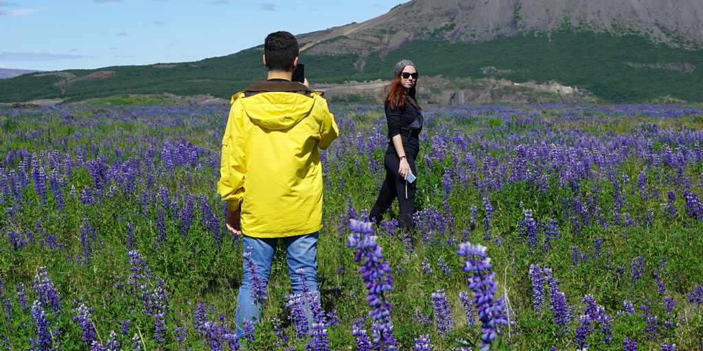 Understanding Urinary Tract Infections