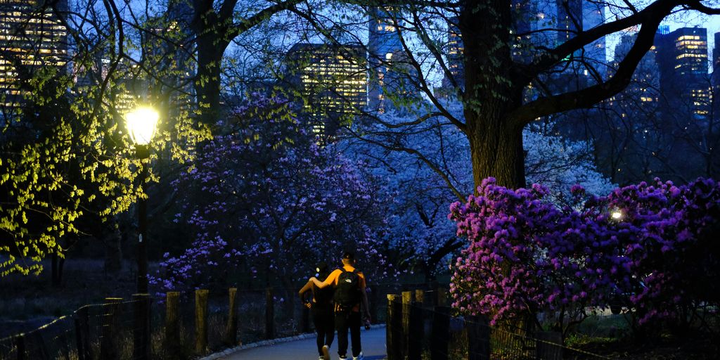 two people walking down a path at night