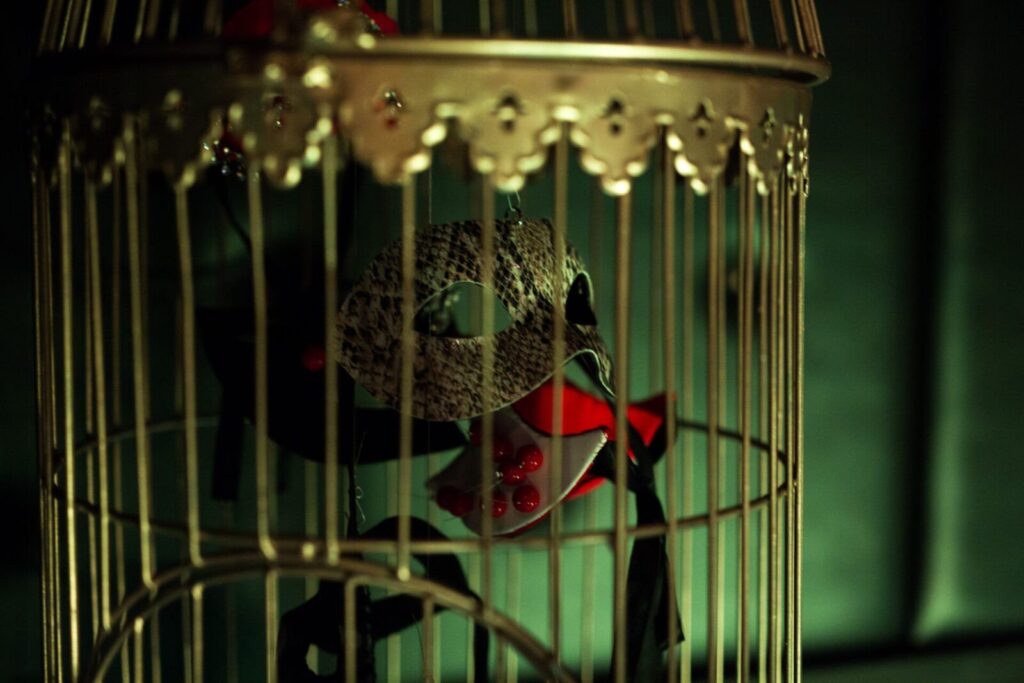 Image of a mask inside a bird cage