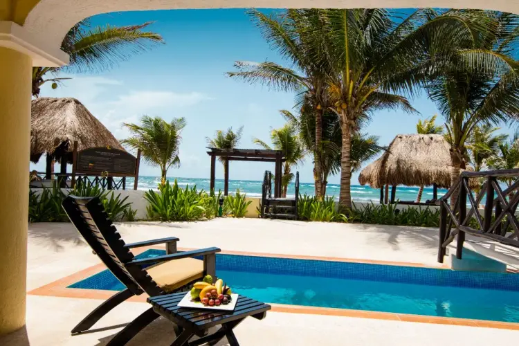 swimming pool coconut trees and chair