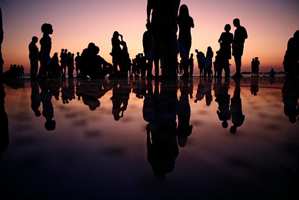 silhouette photo of people