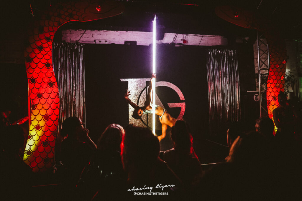 Image of a performer dancing in the pole