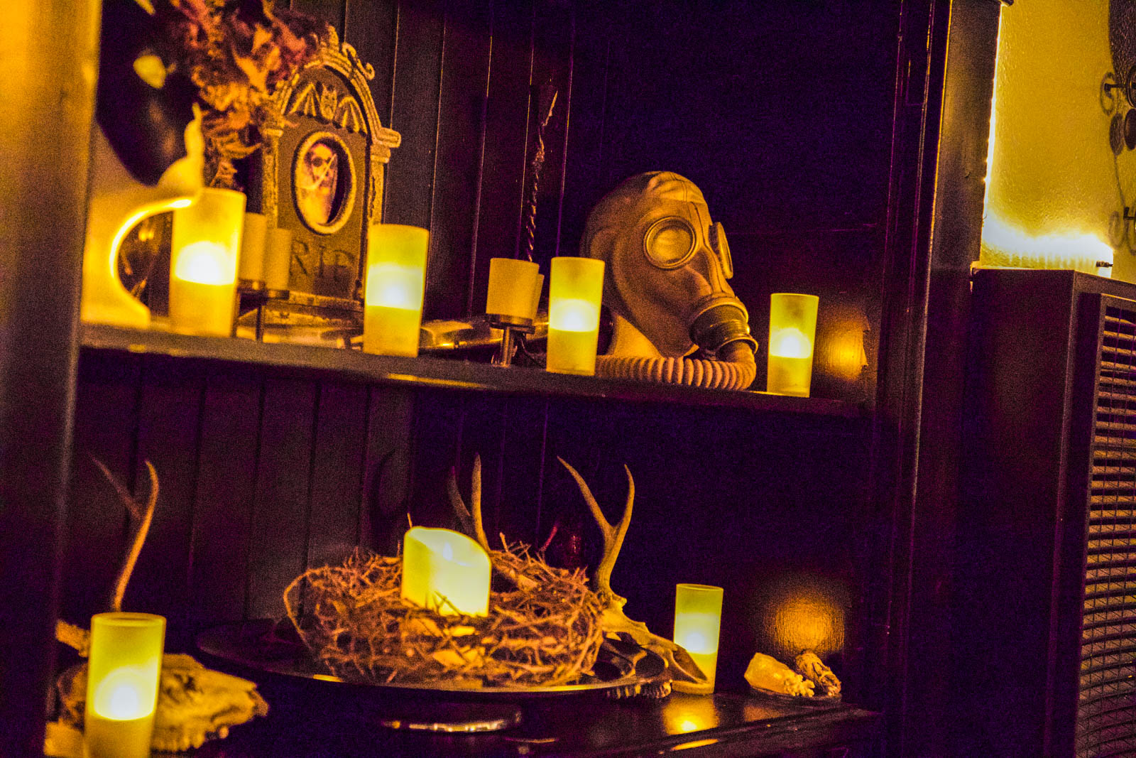 Black Thorn – A Premier BDSM Venue in the San Francisco Bay Area