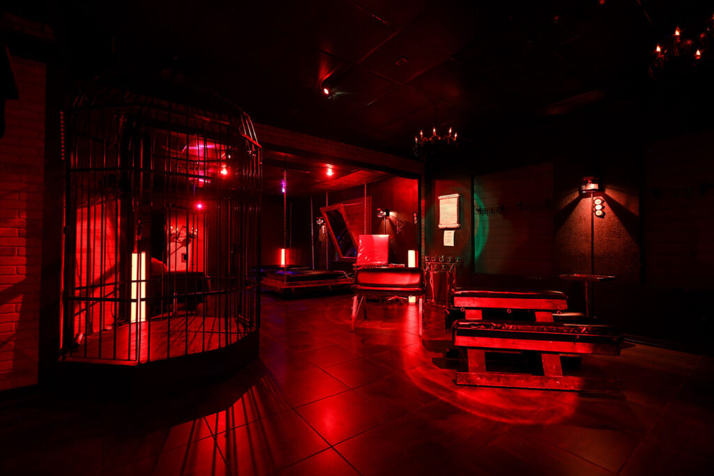Dungeon Playroom with cage in the club