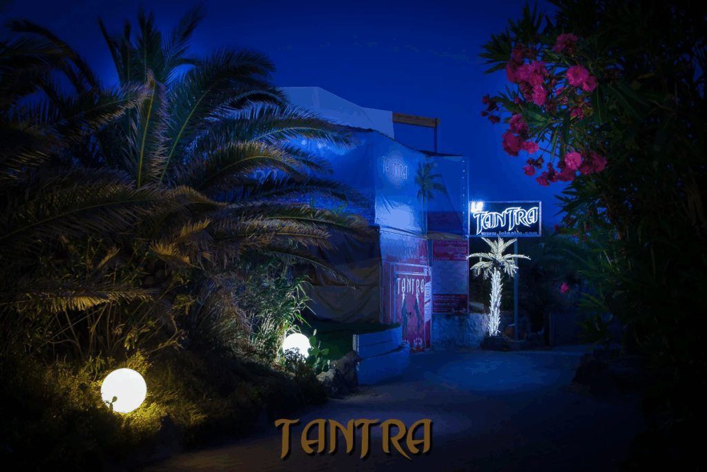 Lights and Trees outside