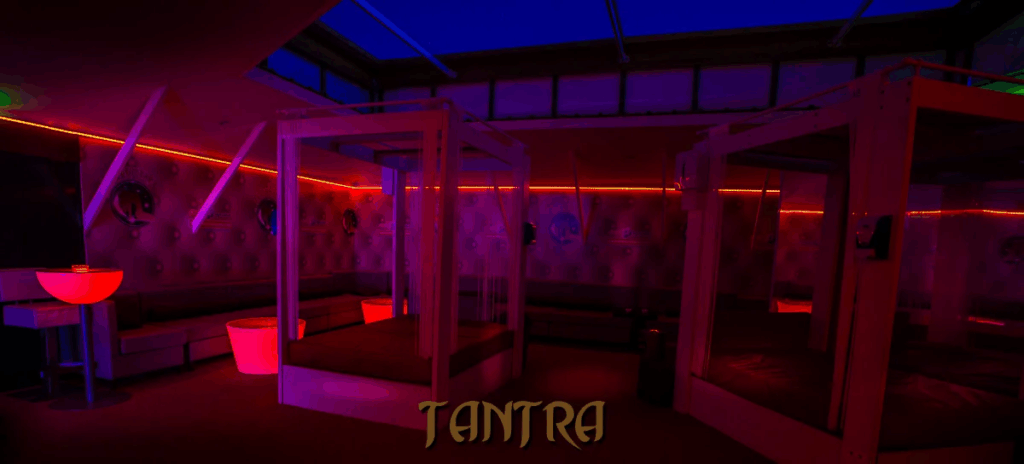 Sofa chairs and box frame chairs in the room