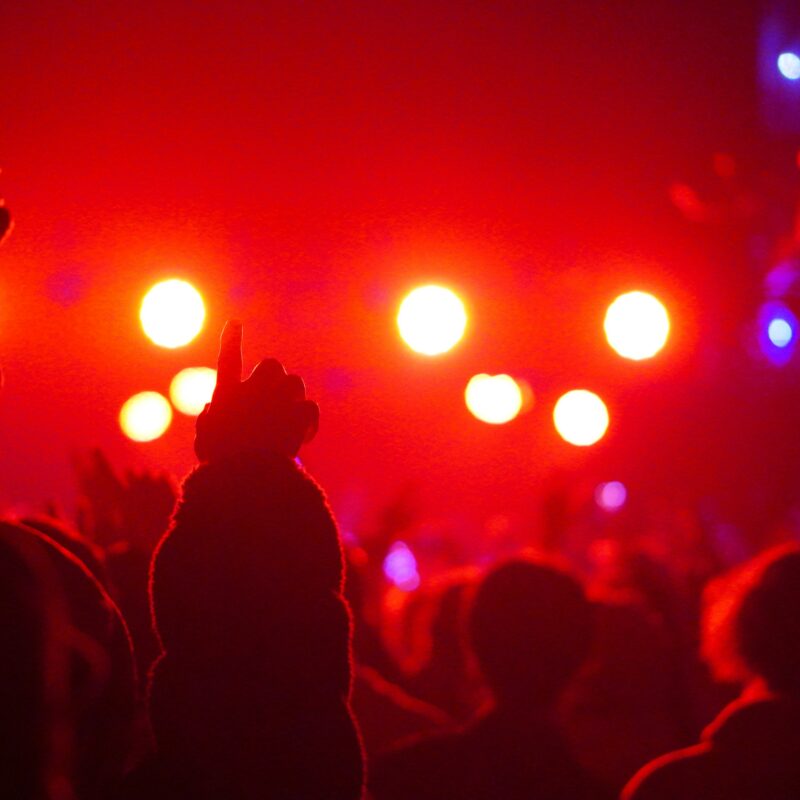 a group of people in a concert