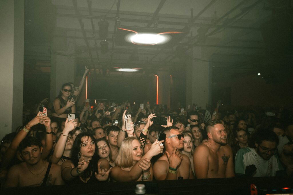 crowd of people enjoying a concert or party