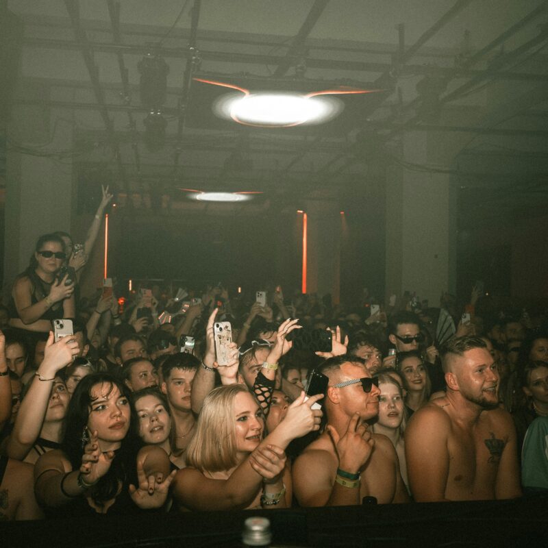 crowd of people enjoying a concert or party